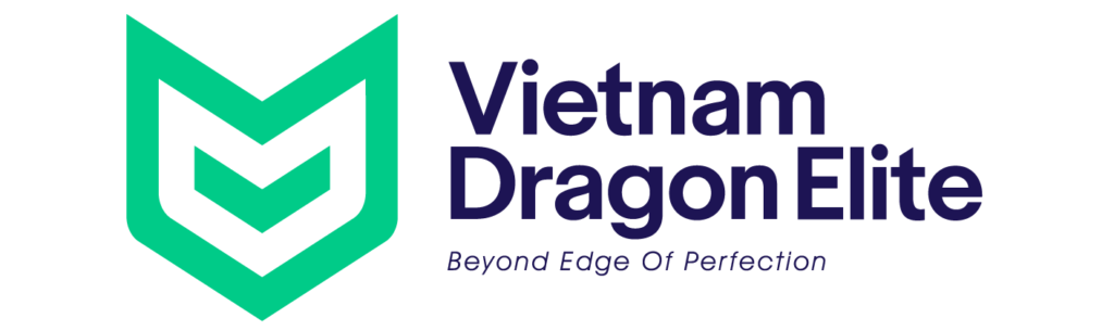 logo vde